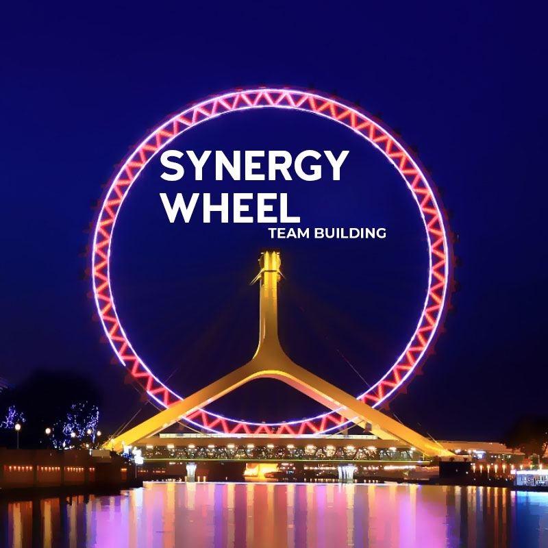la rueda de la sinergia
